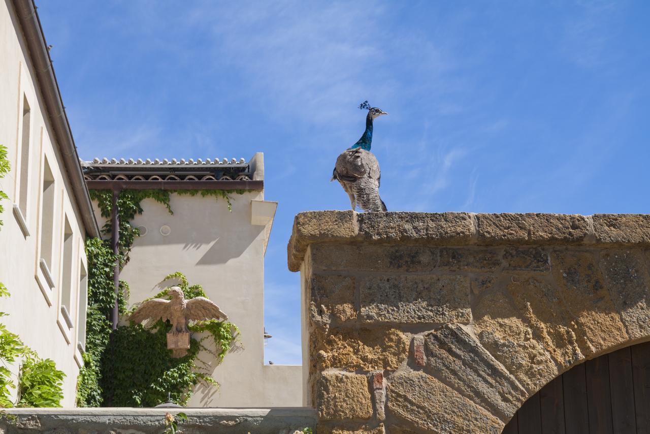 Fontes Episcopi